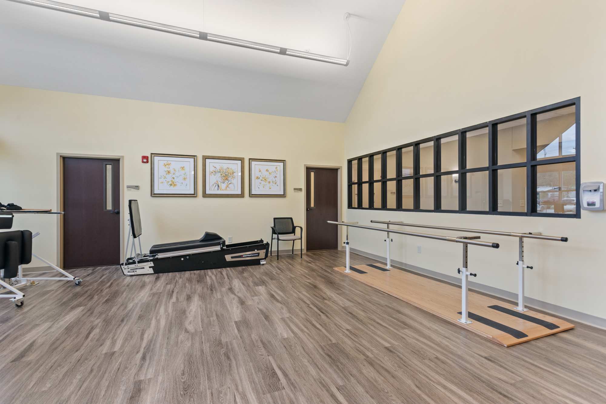 Physical Therapy image